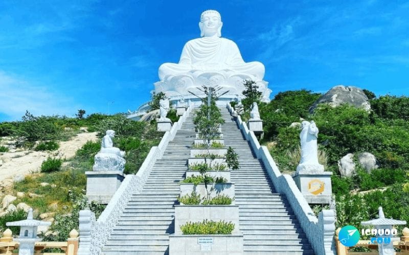 Kinh nghiệm đi du lịch Quy Nhơn tự túc